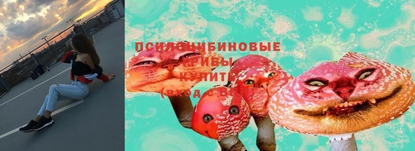 не бодяженный Богданович