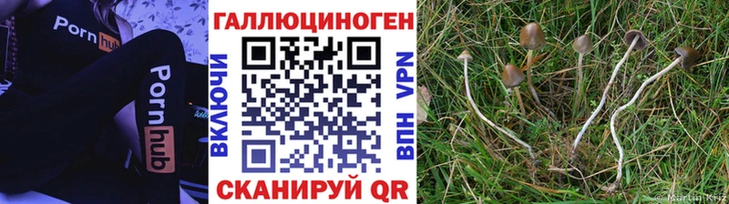 mega ONION  Оха  Псилоцибиновые грибы мицелий 