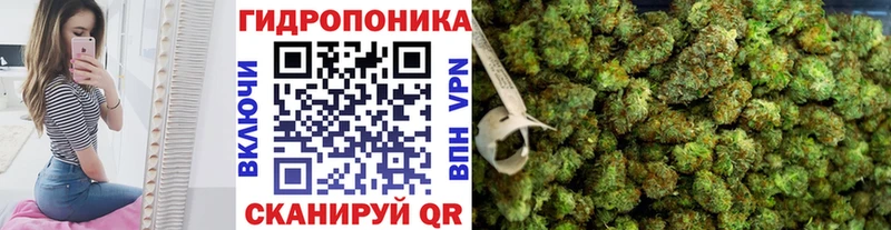 Канабис конопля Оха